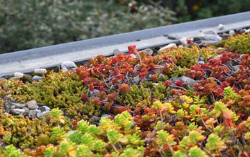 the cost of Shere green roof installation
