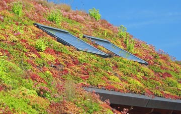 Shere living roof systems